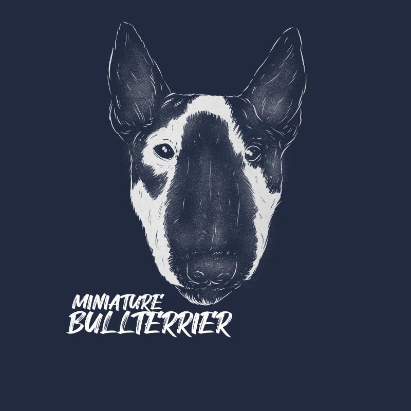Bullterrier Miniature Bullterrier Bully Hunde Hund