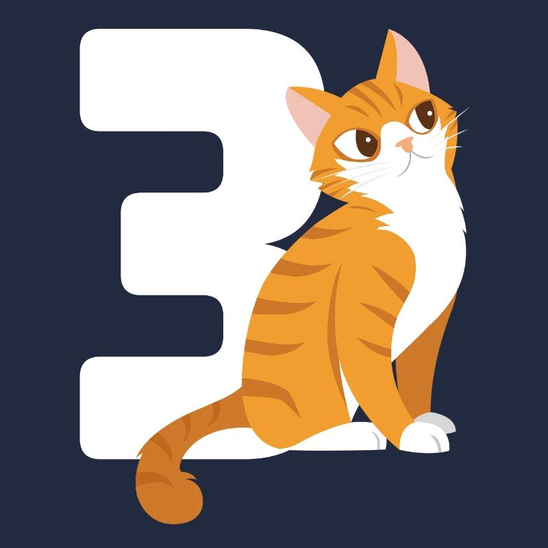 3.Geburtstag Katze 3 Jahre alt Geschenk