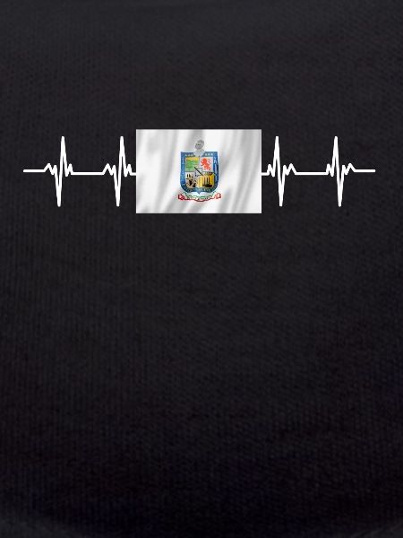 Mexique Mexique Nuevo Leon Drapeau