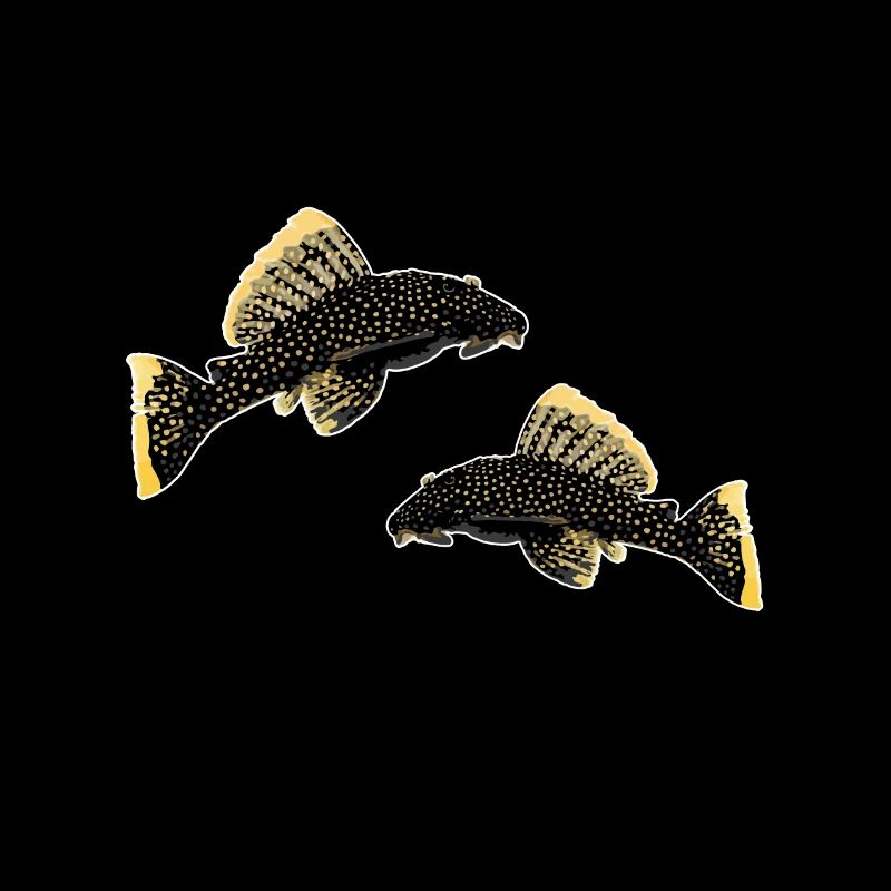 Fish Baryancistrus Xanthellus Fisher Geschenk