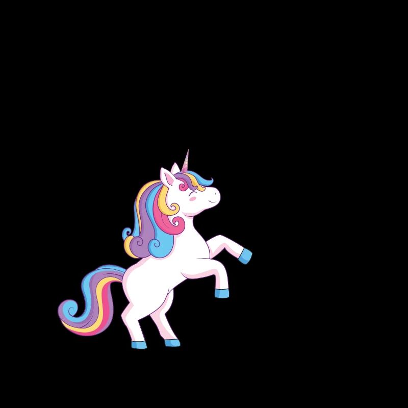 2nd Birthday Mädchen Einhorn 2nd Birthday Mädchen