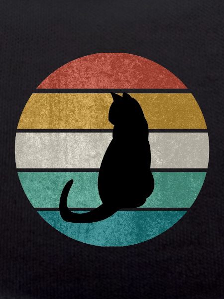 black cat
