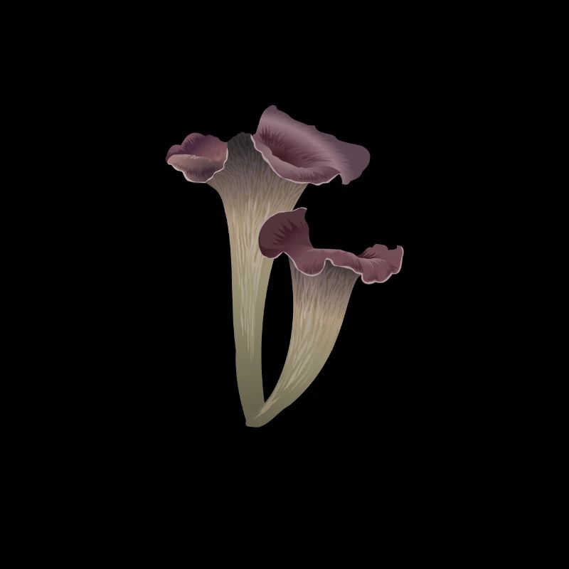 Sifflement de sifflets de trompette Champignons