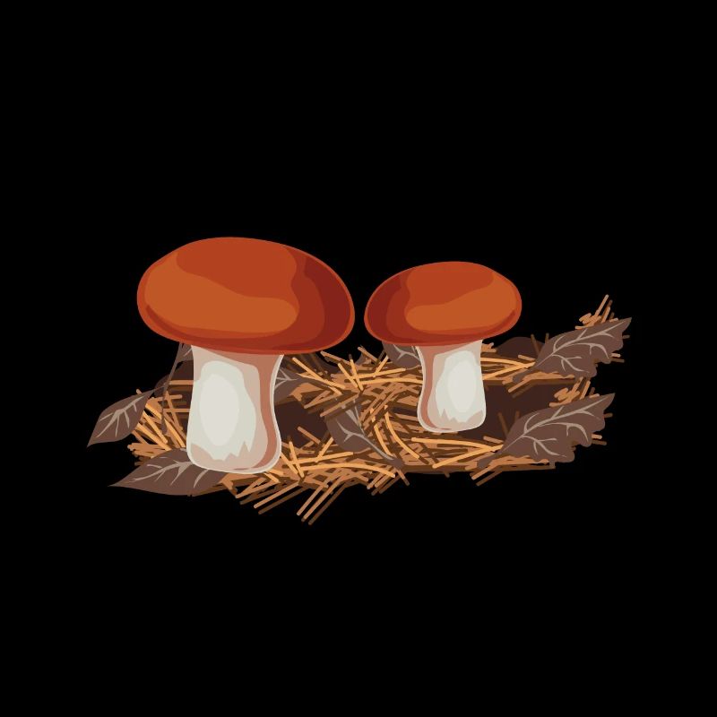 Champignons cueilleurs de champignons
