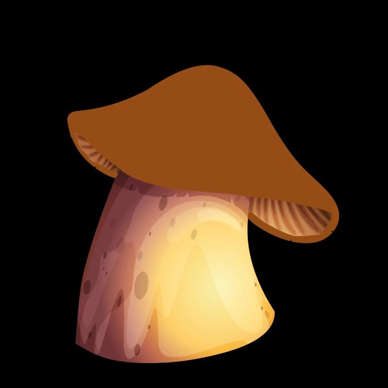 Champignons champignons champignons champignons champignons champignons