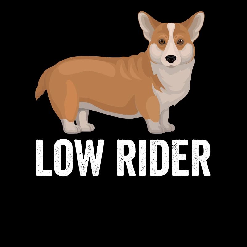 Corgi Hund Low Rider