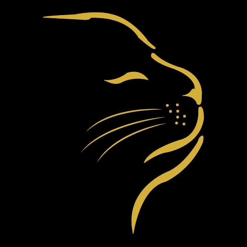 Katze Kleines Kätzchen Katzengesicht