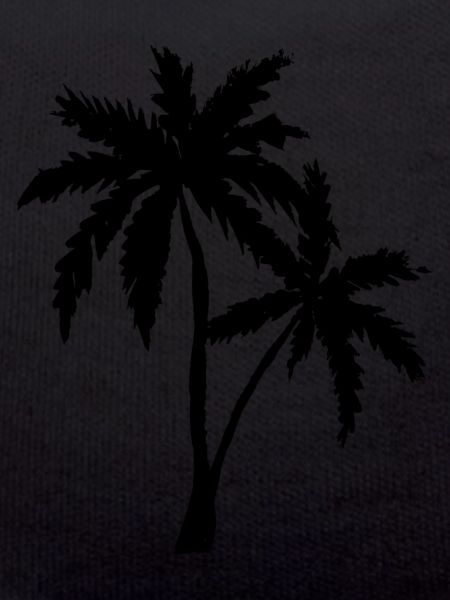 Palm Beach Holiday