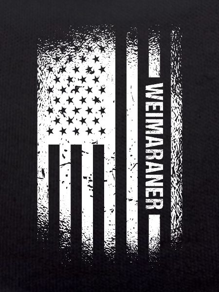 Weimaraner Us Flag