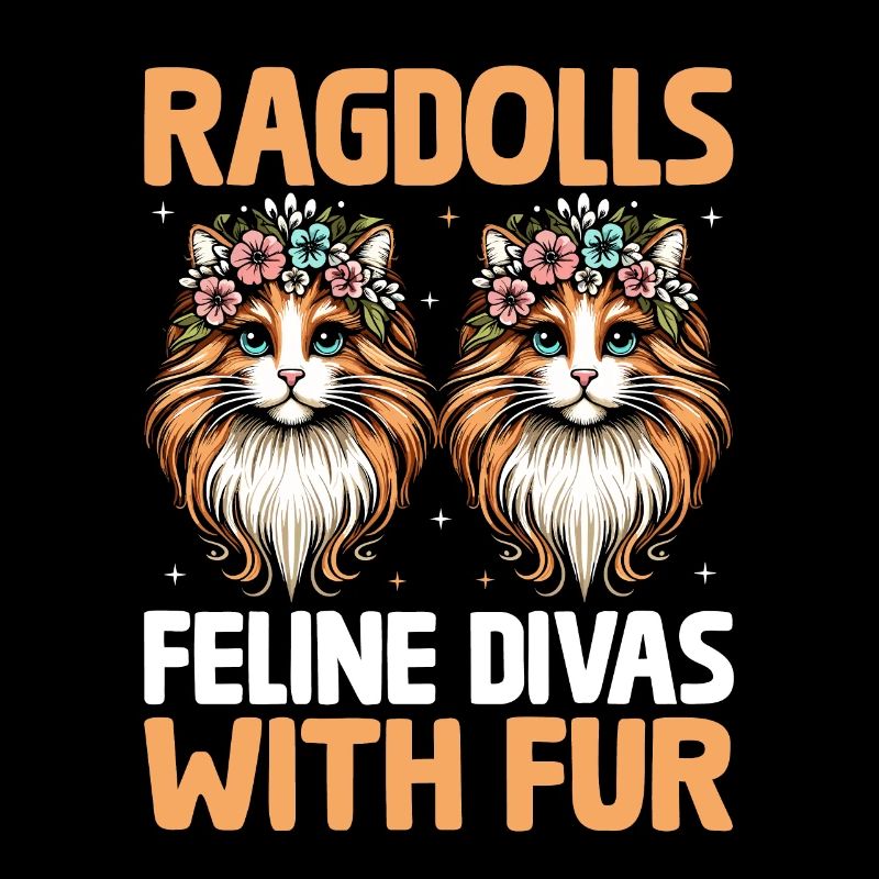 Ragdolls Divas félins avec fourrure Ragdolls Cat Lover