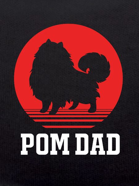 Zwergspitz Pomeranian