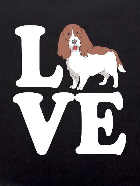 Springer Spaniel Dog