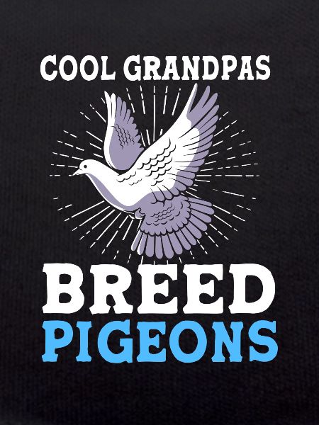 Pigeons Pigeon