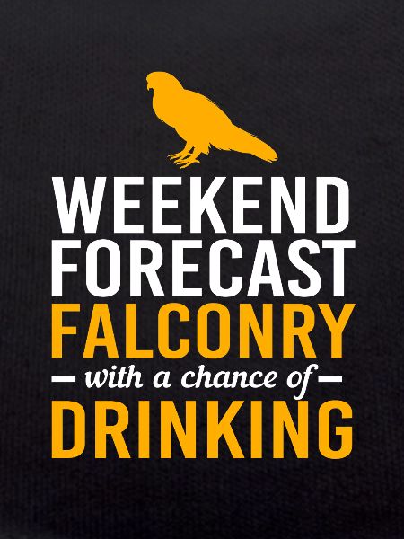 Falcon Chirp Falconry