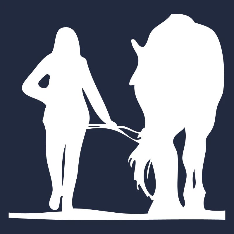 Conduite du cheval