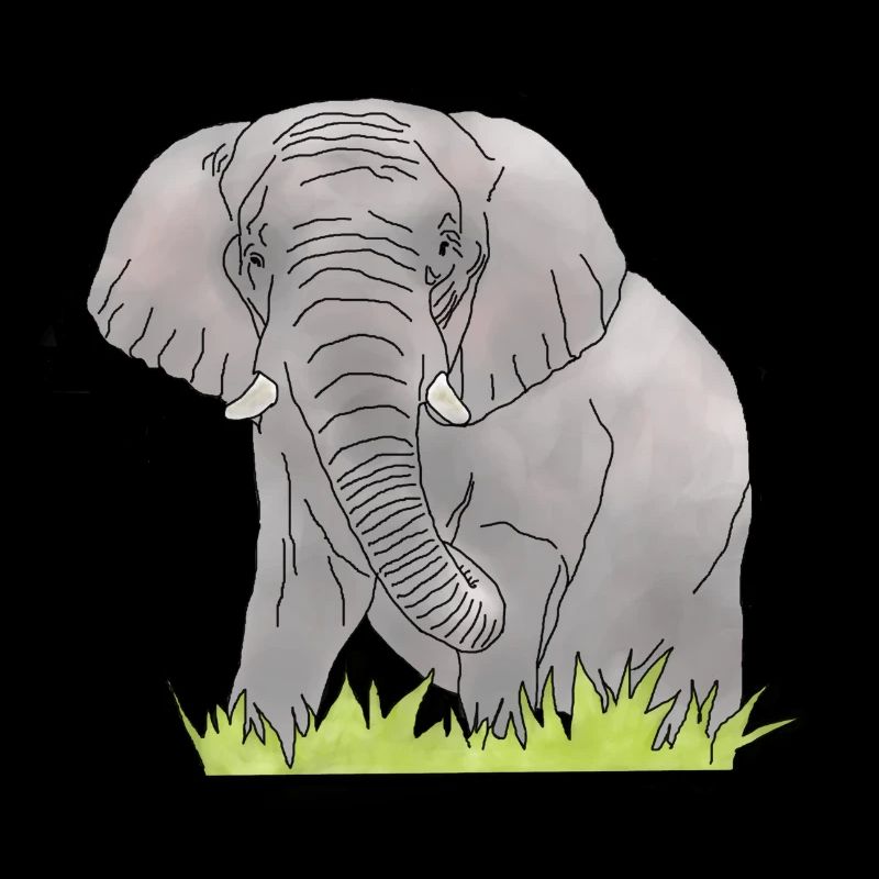 Elefant