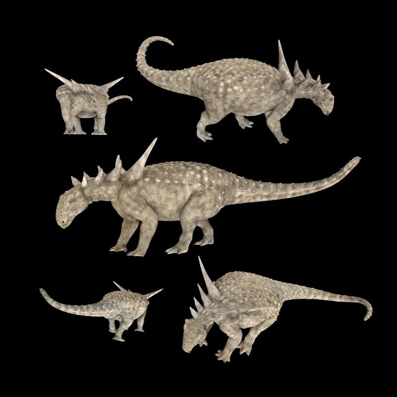 Dinosaure Sauropelta