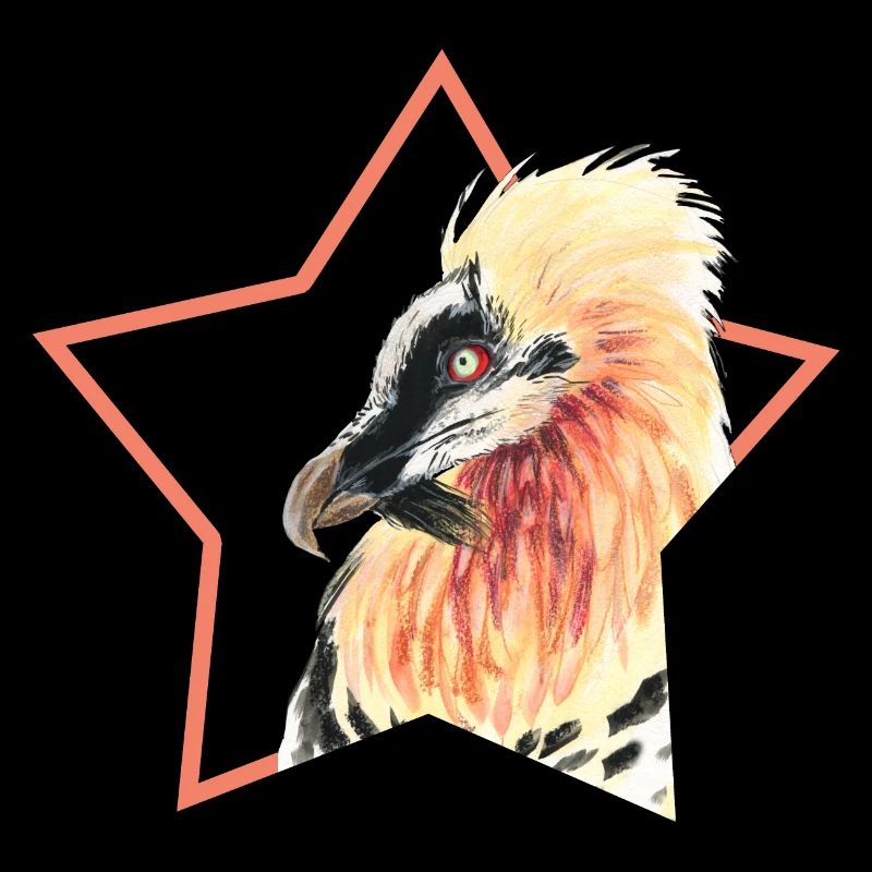 Bartgeier