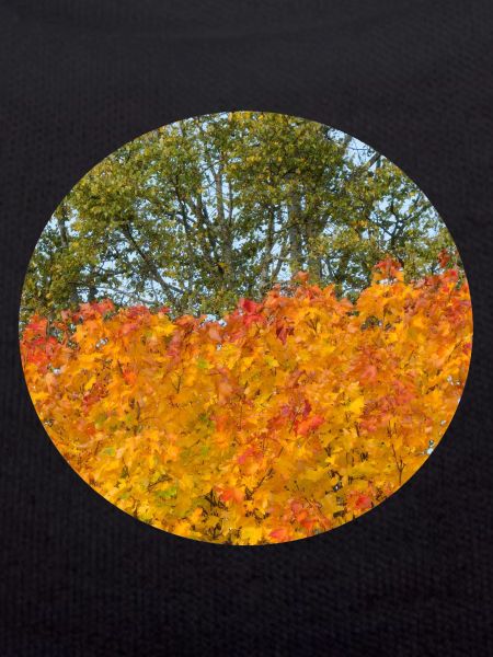 Herbst