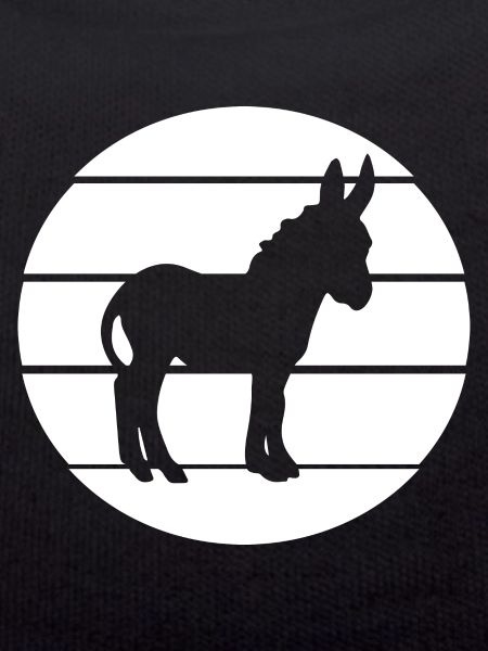 Donkey Esel