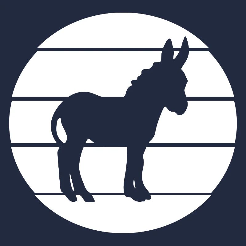 Donkey Esel