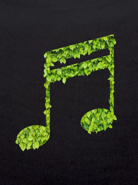 Le son de la nature