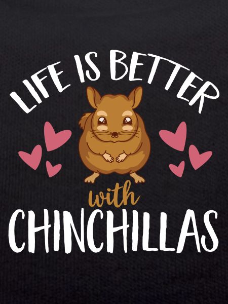 Chinchilla