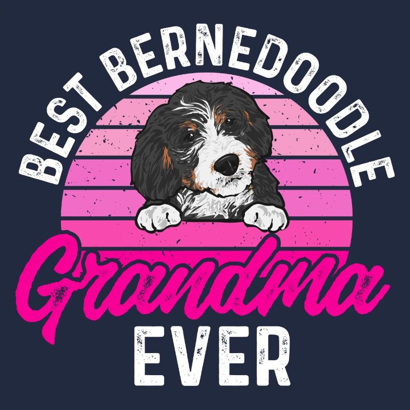 Bernedoodle Hund