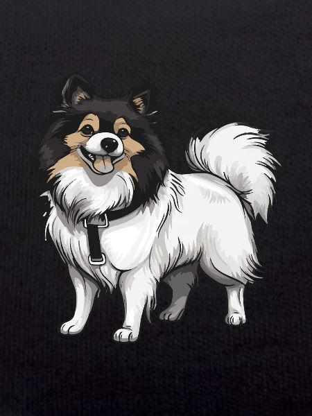 Pomeranian Dog