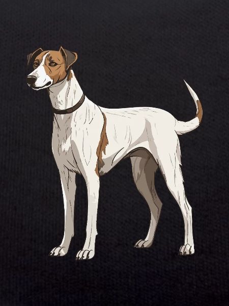 Greyhound Dog