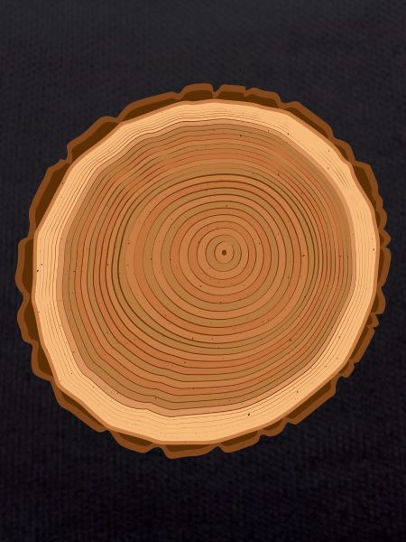 Wood