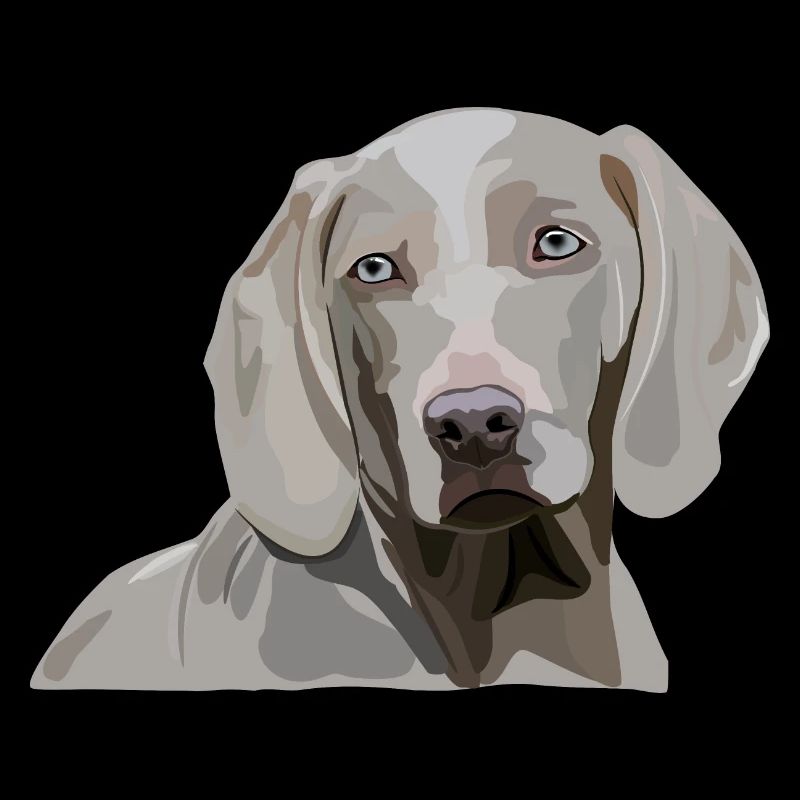 Weimaraner