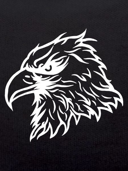 Cool Bald Eagle Eagle
