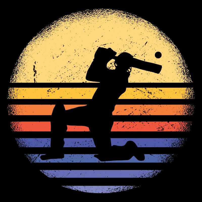 Sport Retro Sunset Cricket