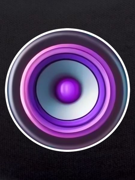 BOOMER SPEAKER
