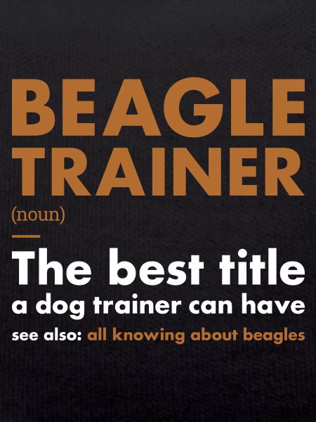 Beagle Trainer Definiton