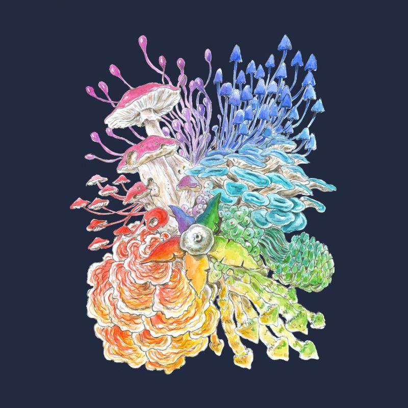 Regenbogen-Pilze / diversity