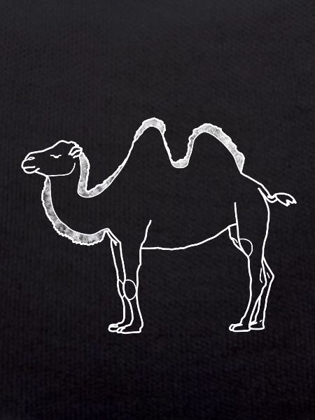camel