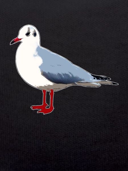 gull