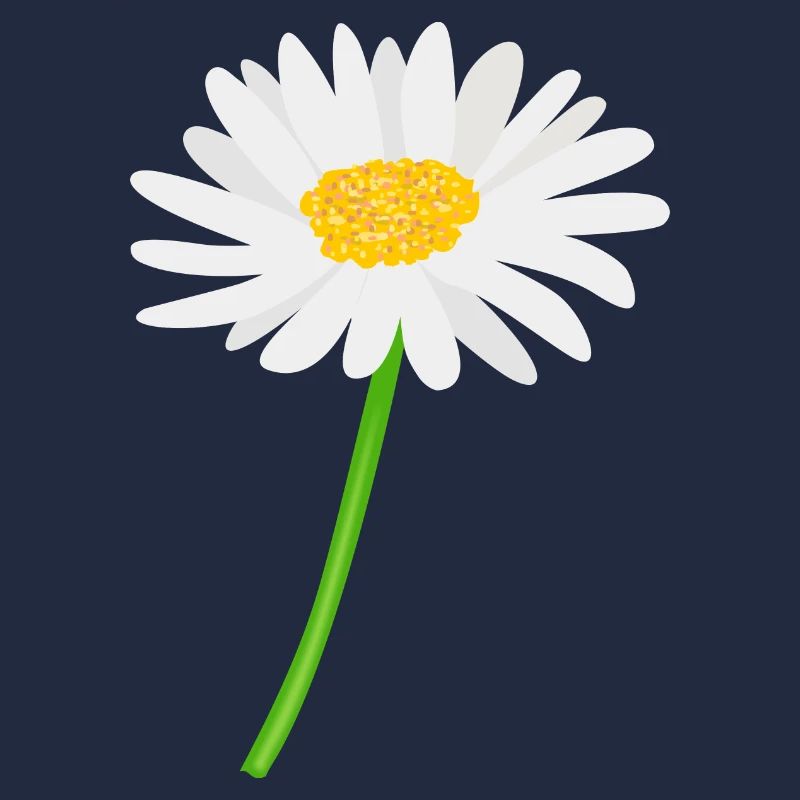 Blume Gänseblümchen mit Stiel