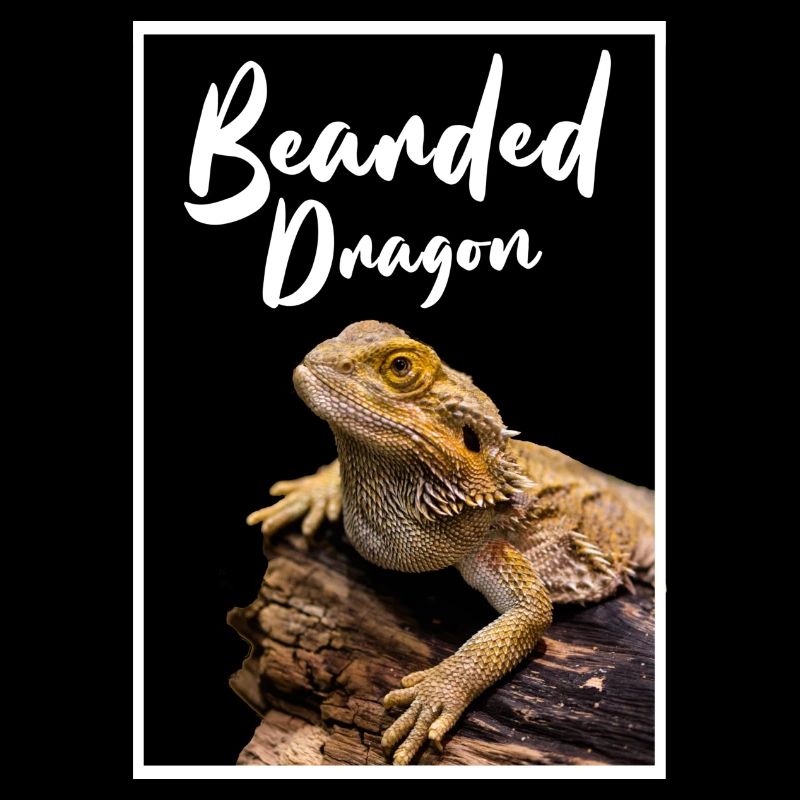 Bartagame Reptilienhalter Modern Geometric
