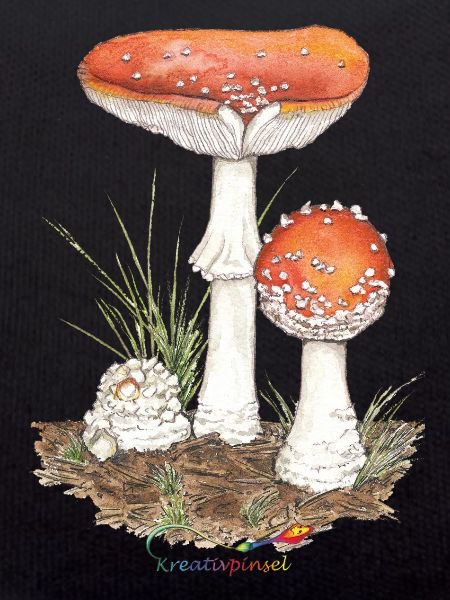 Toadstool