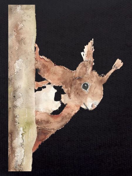 Squirrel