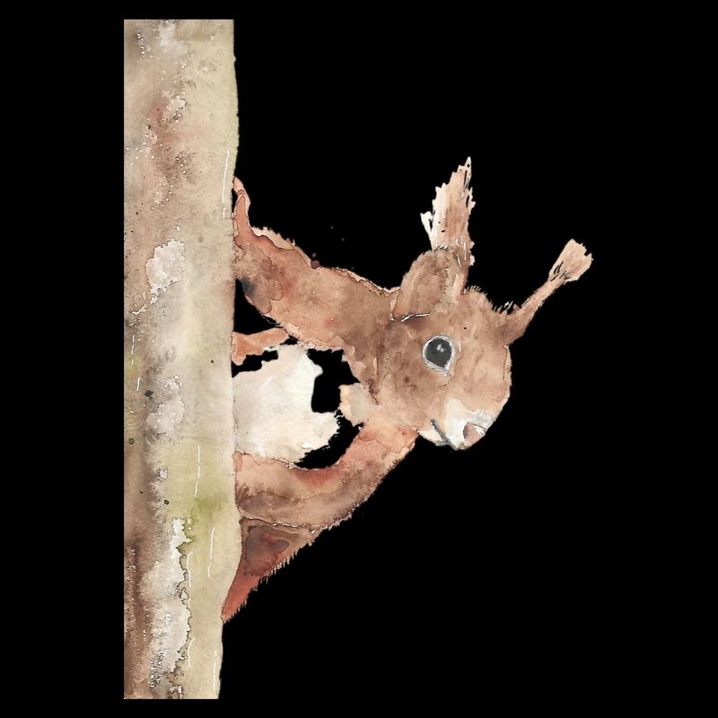 Squirrel