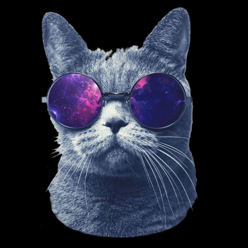 Katze in Brille