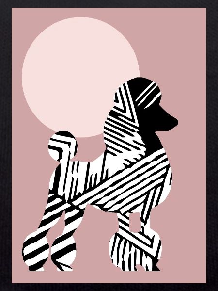 poodle