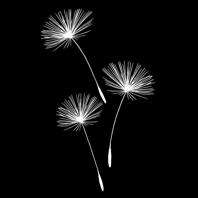 Pissenlit pissenlit fleurs
