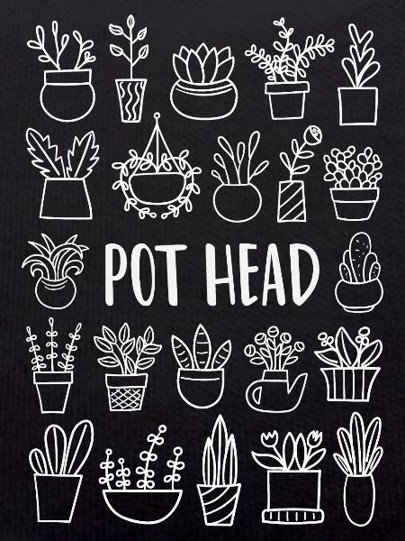 Plant Plants