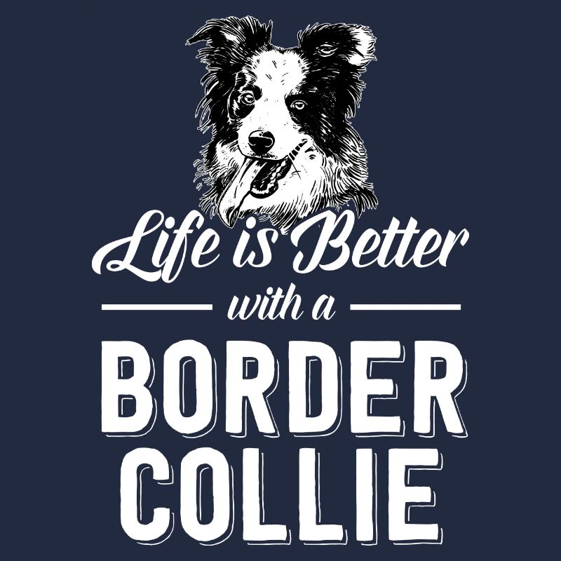 Border Collie chien chiot élevage Agility chien de compagnie