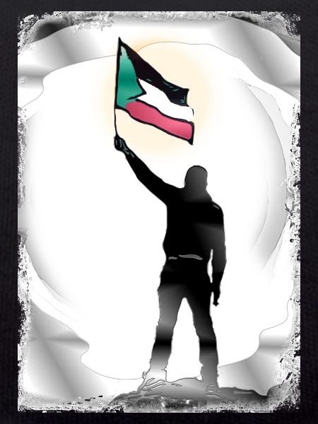 Palestine Drapeau Vies Comptent P9